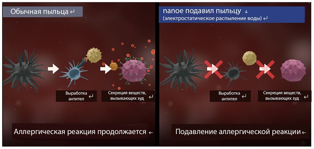 Первое доказательство на клеточном уровне способности технологии nanoe™ (гидроксильные радикалы, содержащиеся в воде) подавлять аллергические реакции